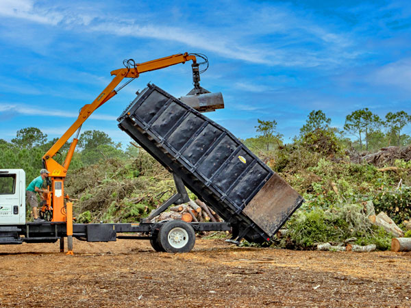 Tree Debris Disposal